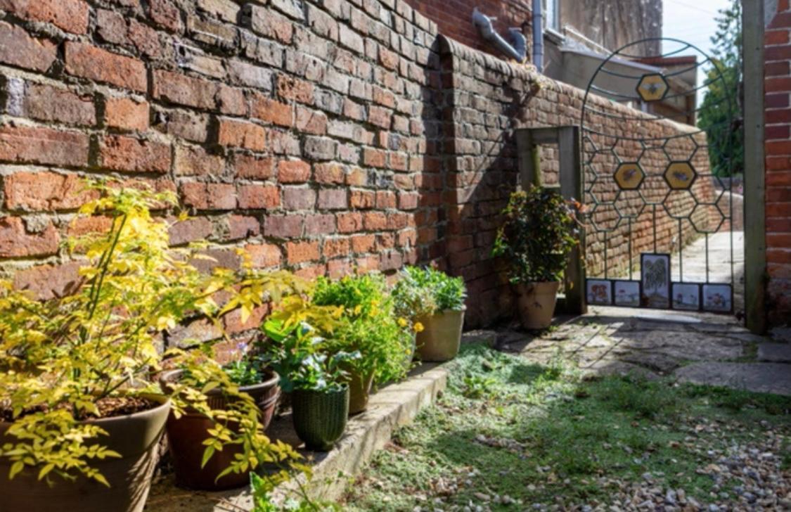 Bridport Garden Suite المظهر الخارجي الصورة