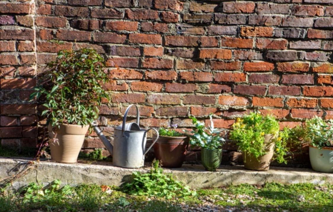 Bridport Garden Suite المظهر الخارجي الصورة